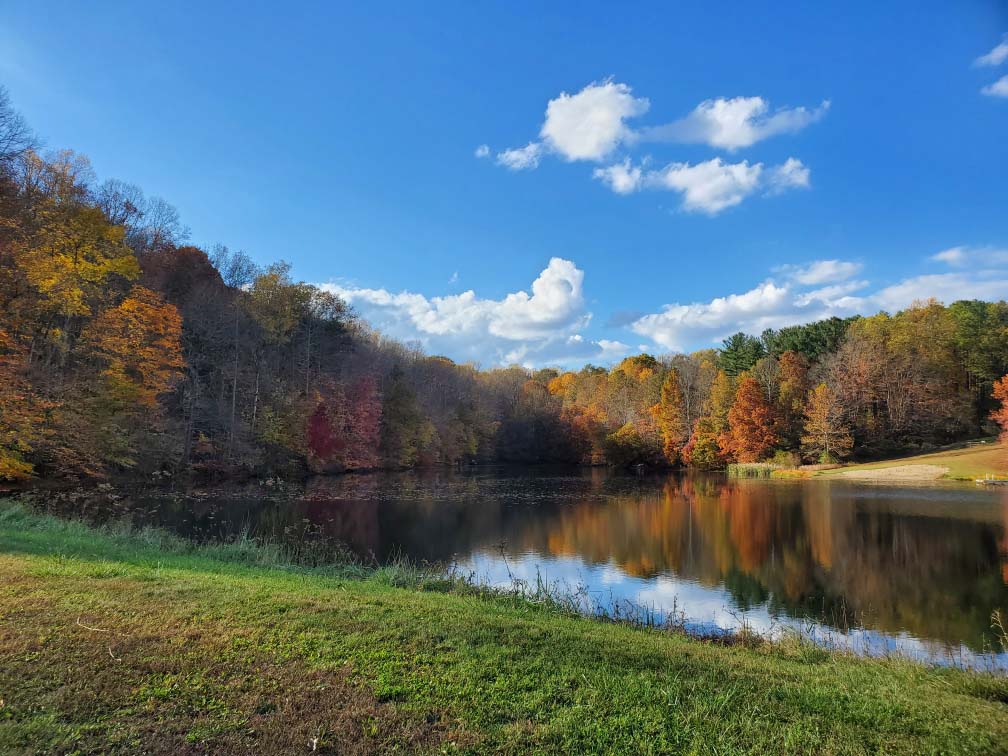 fall, trees around lake